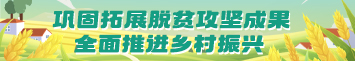 鞏固拓展脫貧攻堅(jiān)成果 全面推進(jìn)鄉(xiāng)村振興