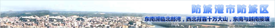 防城區版塊banner